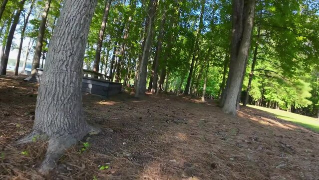 aerial FPV footage of a gorgeous summer landscape at Proctor Landing park with a lake, lush green trees, grass and plants with blue sky and clouds at Lake Acworth in Acworth Georgia USA