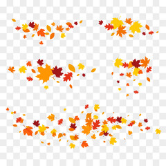 Autumn falling leaves isolated on white background. Autumn maple and oak leaves.