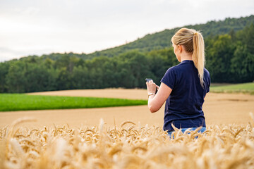 Blonde junge Frau steht im erntereifen Weizenfeld und tippt auf ihrem Smartphone