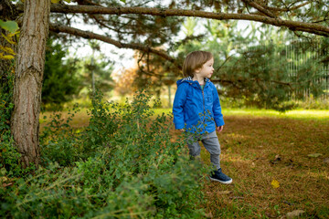 Funny toddler boy having fun outdoors on sunny autumn day. Child exploring nature. Kid playing in a city park. Autumn activities for kids.