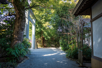 日本の神社の裏口