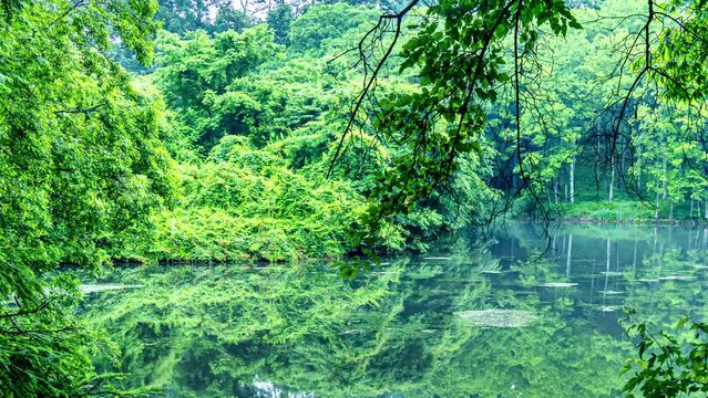 01_早朝の森と朝もやの漂う青空を映す水面(4K)右移動
