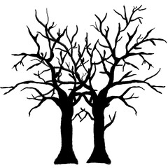 Fototapeta premium tree with roots