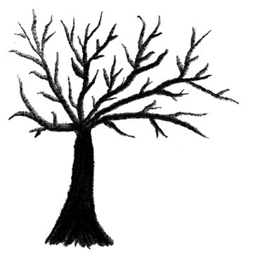tree with roots