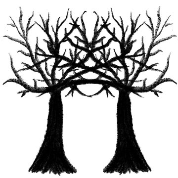 tree with roots