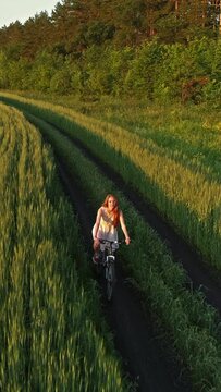 Cute young girl on bicycle in green field at sunset, drone shooting. Vertical video