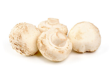 Champignons, close-up, isolated on white background.