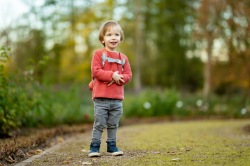 Funny toddler boy having fun outdoors on sunny autumn day. Child exploring nature. Kid playing in a city park. Autumn activities for kids.