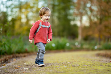 Fototapeta premium Funny toddler boy having fun outdoors on sunny autumn day. Child exploring nature. Kid playing in a city park. Autumn activities for kids.