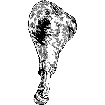 Hand drawn Roasted Turkey Leg Sketch Illustration