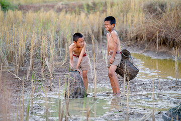 Two Asian little boys enjoy with catch fish in rice field with mud and clay and they look happy and fun.