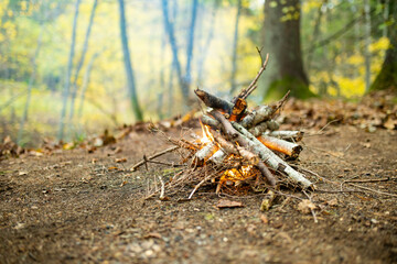 Forest bonfire. Having fun at a camp site with family and friends.