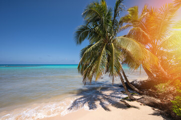 Paradise tropical  beach background