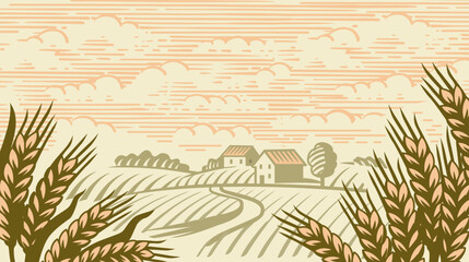 Wheat Organic Farming landscape vector. Fields with Harvest © bioraven