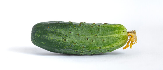 Cucumber isolated on white background
