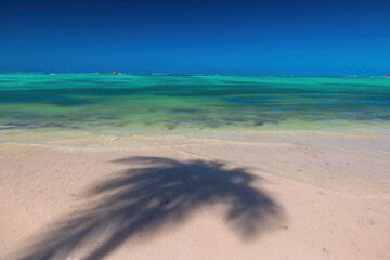 Tropical island beach with palm trees on the Caribbean Sea shore at sunrise
