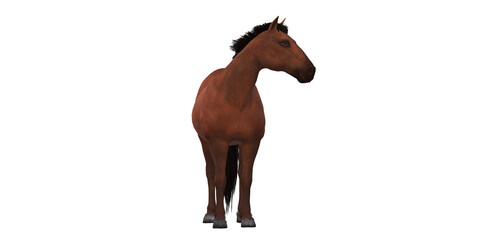 Horse isolated on a Transparent Background