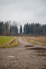 A muddy road on with an approaching curve.