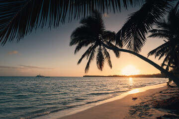 Fototapeta na wymiar Tropical island beach with palm trees on the Caribbean Sea shore at sunrise