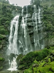 waterfall in the forest