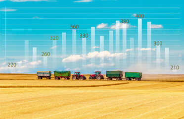 Rising Global grain and wheat and Flour prices crisis. Analytics data and growth graphs. Business...