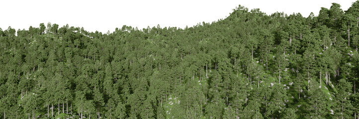 Realistic mountain with forest. 3d rendering of isolated objects.