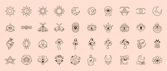 Mysticism esoteric outline icons vector bundle, mystical line monochrome clip art, Celestial floral moon, Flower and mushrooms hand drawn symbols pack, isolated illustrations in black and white