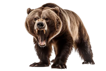 Foto op Aluminium Ferocious Grizzly Bear on Transparent Background. AI © Usmanify