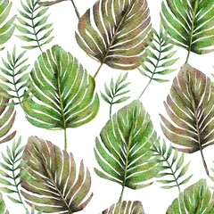 Tropical botany monstera palm watercolor drawing seamless pattern. Jungle exotic background