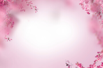 Plakat Sakura spring cherry blossom flowers on a tree branch isolated. Branch overlay. Pink white flower on transparent background.