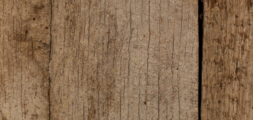 The texture of an old cracked wooden beam panorama