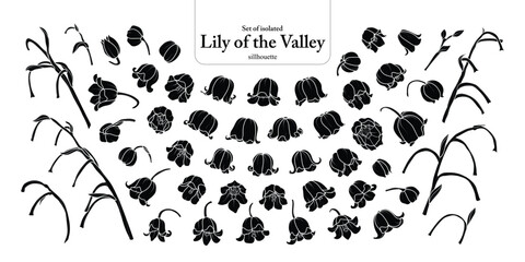Cute hand drawn isolated silhouatte of lily of the valley.