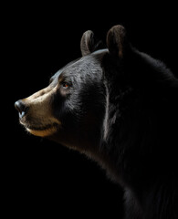Black bear profile portrait - Generative AI