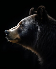 Black bear profile portrait - Generative AI