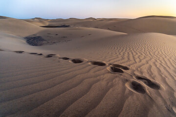 Fototapeta na wymiar Footprints in the undulations of the sand in the dunes of Maspalomas in the south of Gran Canaria