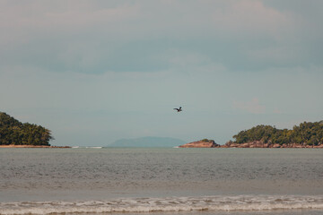 beautiful beach skyline landscape
