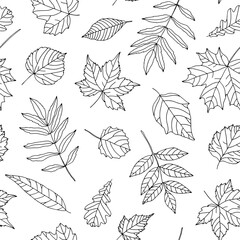 Seamless background with falling tree leaves on white background. Simple outline drawing with black line. Hand drawn. Natural design for fabric, cover, wrapping paper. 