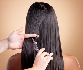 Back view, hands cut hair and woman, beauty and shine, cosmetic care isolated on studio background....