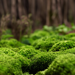 green moss background