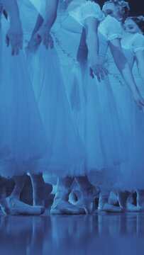The ballerinas stand in a row and change the position of her legs. then they run out of the frame. dance of ballerinas on stage. The position of the legs in ballet. Vertical format for the phone.