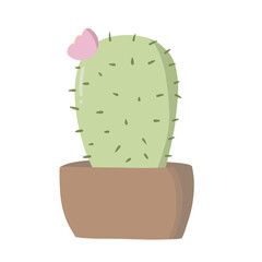cactus in flowerpot