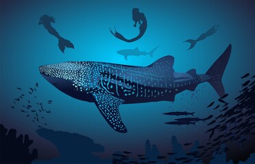 Obraz premium tiburon ballena, sirenas, mar, oceano, azul, fondo marino
