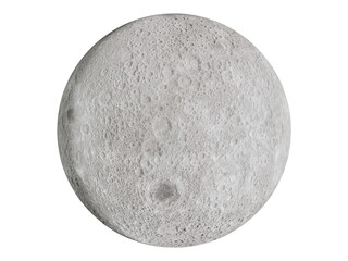 The full moon detail that lights up in the night.