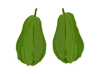 Sechium edule on white background.