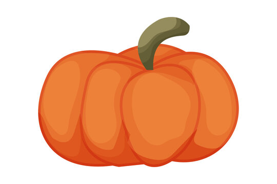 Cute autumn pumpkin, cute orange plant in cartoon style isolated on white background.