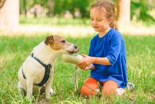 On hot summer day girl watering dog in park. Dog drinking water from special pet bottle. - Powered by Adobe