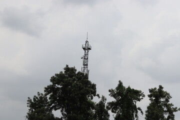 Obraz premium Four dark green colored trees with a signal tower behind it in a cloudy weather 