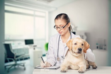 Young Veterinarian Petting a Dog in clinic