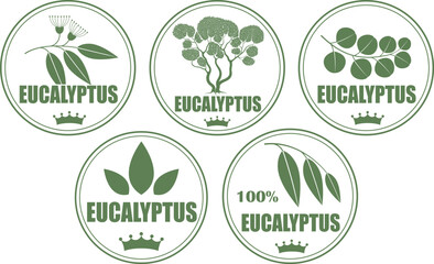 Eucalyptus logo. Isolated eucalyptus on white background © oleg7799