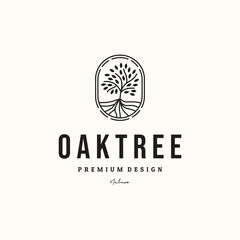 nature oak tree line art logo vector minimalist illustration design, evergreen oak tree style logo design